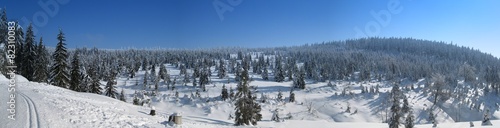 Winter mountain panorama