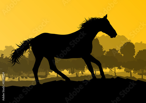 Wild horse in nature vector background landscape freedom concept © kstudija