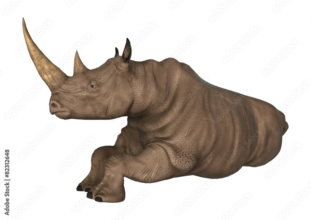Naklejka premium Rhinoceros