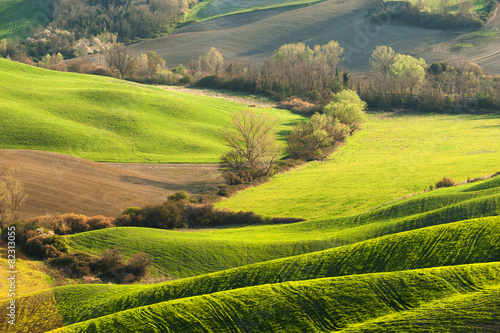 Pastoral green field with long shadows in Tuscany  Italy
