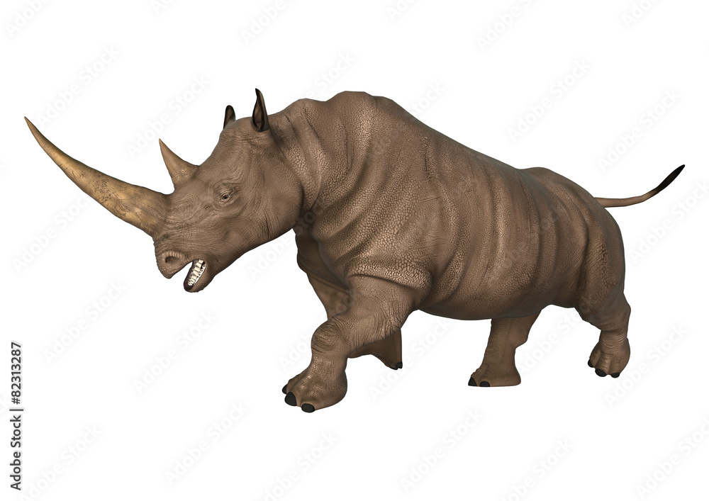 Fototapeta premium Rhinoceros