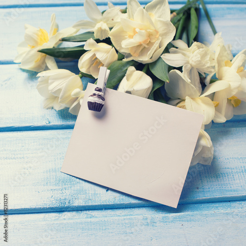 Postcard  with fresh narcissus and tulips and tag for text