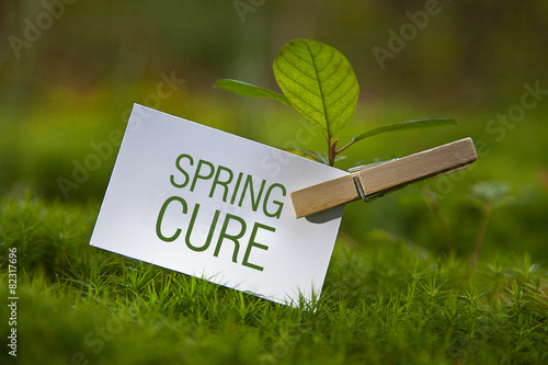 Spring Cure