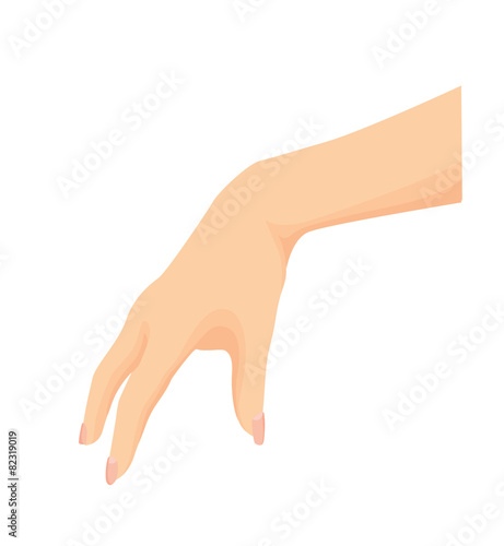 Beautiful female open hand isolated on a white background 