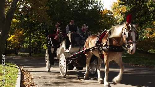 CU Mature couple riding in horse drawn carriage through Central Park, New York City, New York State, USA
