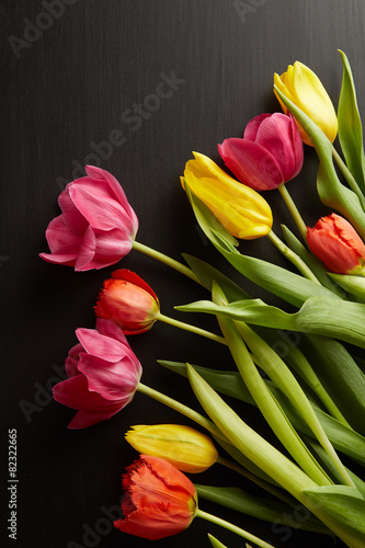 Fototapeta Naklejka Na Ścianę i Meble -  Beautiful tulips