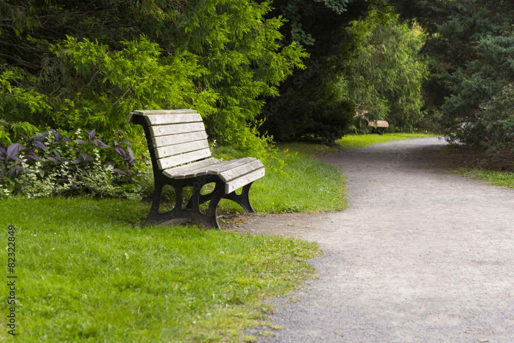 Empty chair in a quiet park next to a way