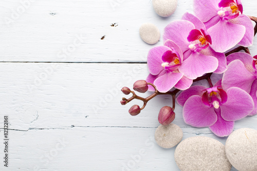 Pink orchid flower.