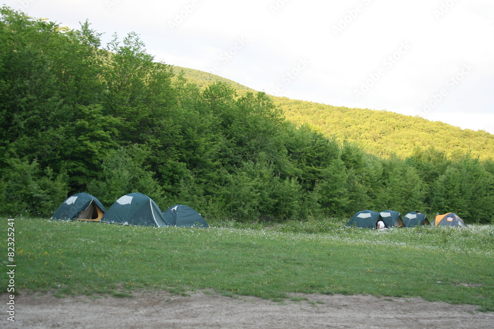 tourist tents in forest at campsite