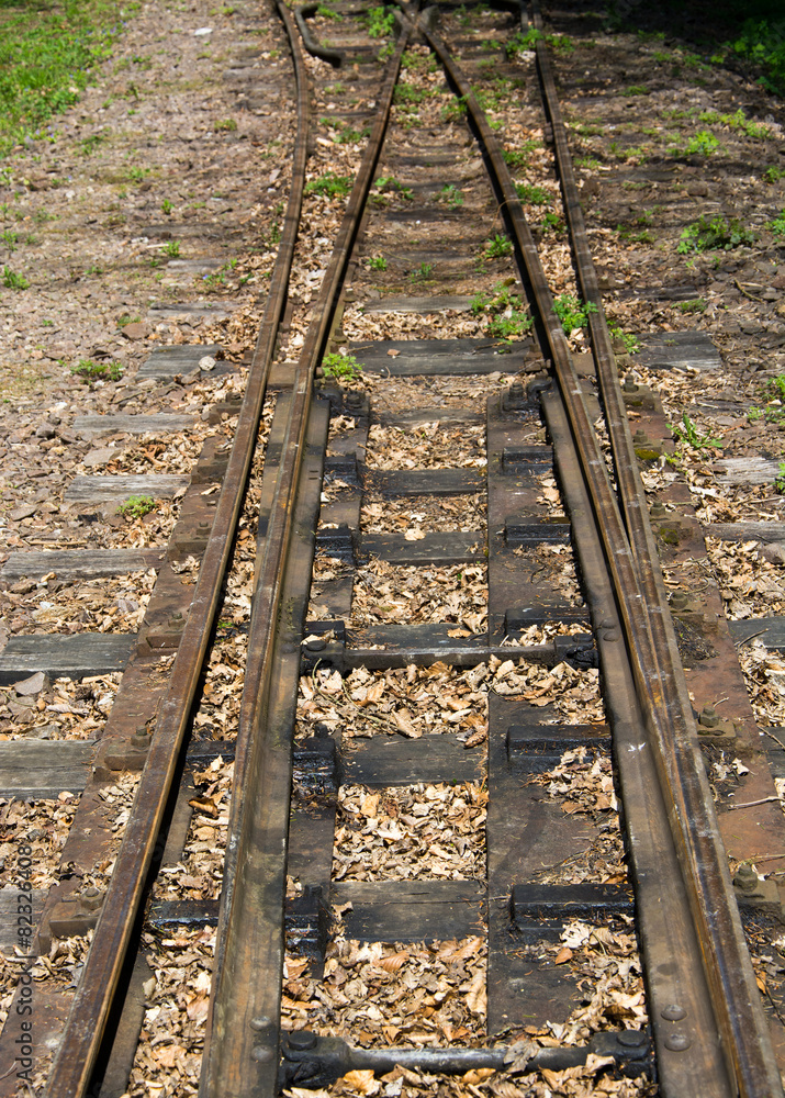 Fototapeta premium Railway tracks
