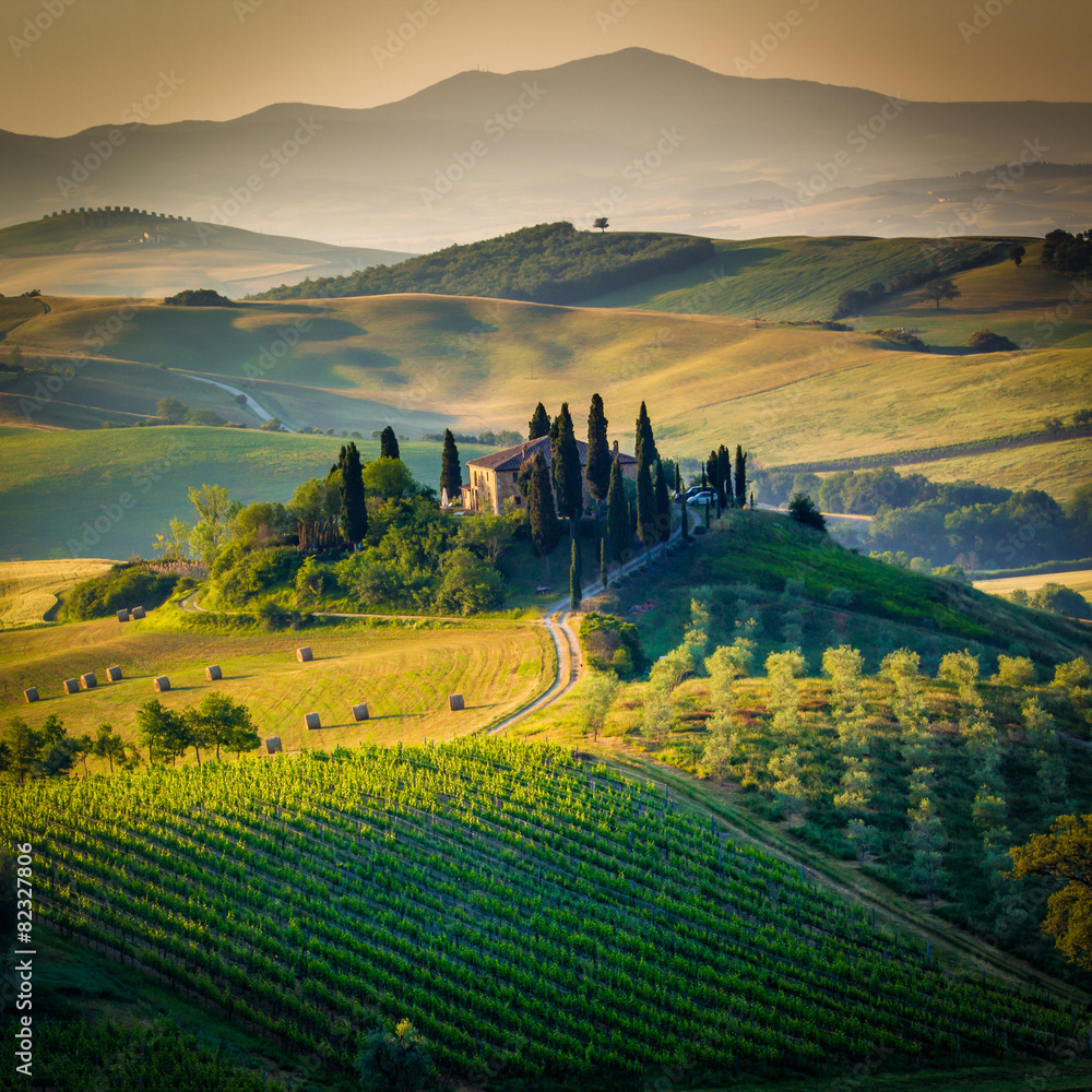 Naklejka premium Toskania, krajobraz i dom na wzgórzach Val d'Orcia