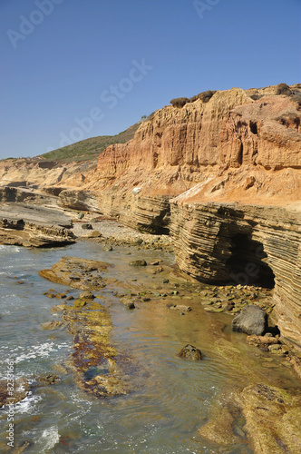 Tidepools of Point Loma