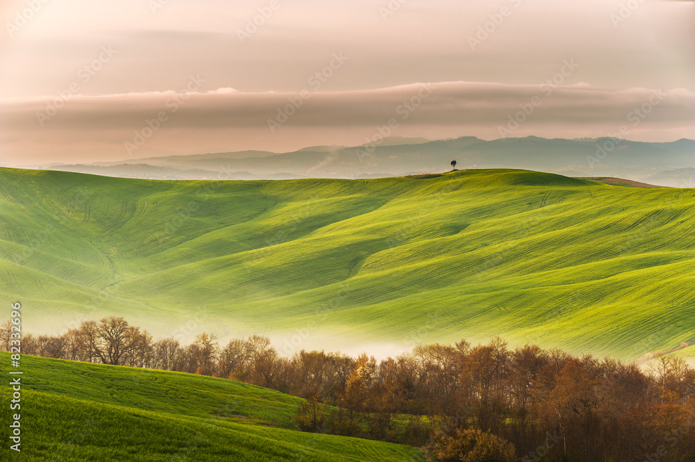 Spring field with billowing mists Spring field with billowing mists
