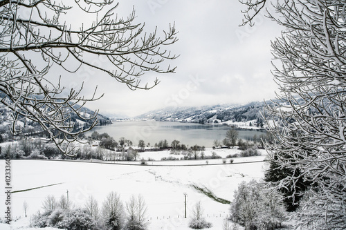 Immenstadt am Alpsee im Winter