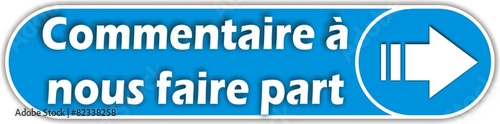 bouton commentaire