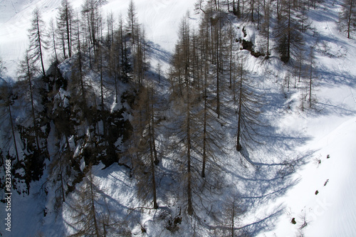 Spuren im Schnee