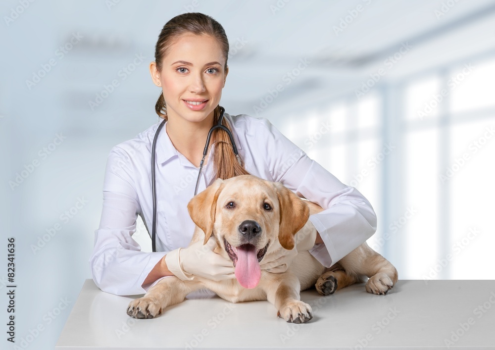 Veterinarian. Portrait of happy female veterinarian holding
