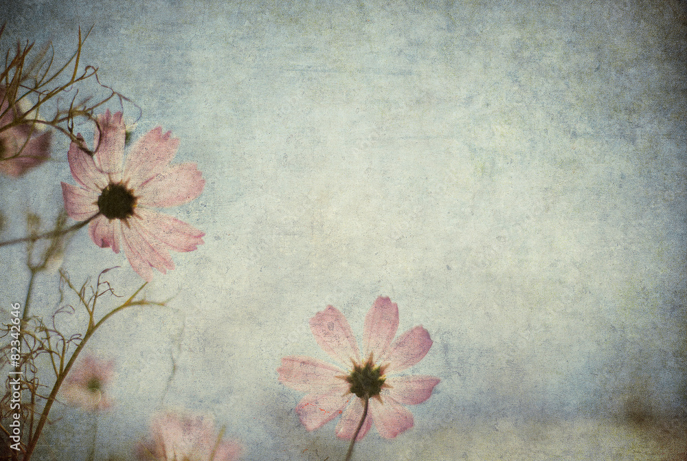 Fototapeta Malowane kwiaty na niebieskim tle