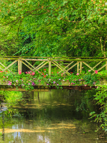 Old small bridge over river in green garden.