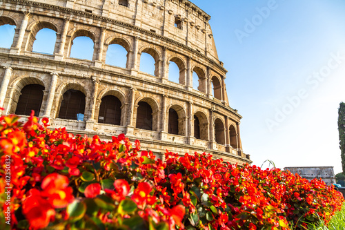 Billede på lærred Colosseum in Rome