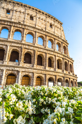 Vászonkép Colosseum in Rome