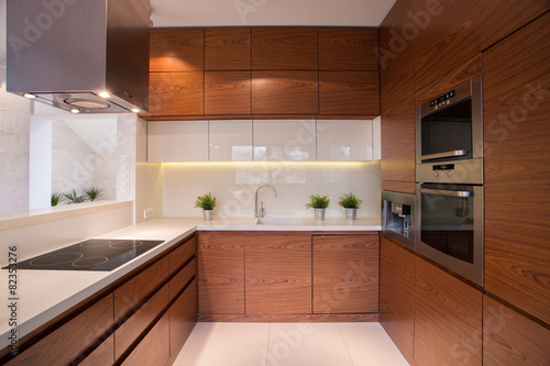 Wooden kitchen cabinet photo