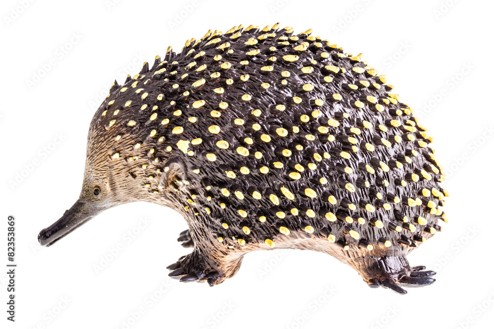 Obraz premium Echidna figurine