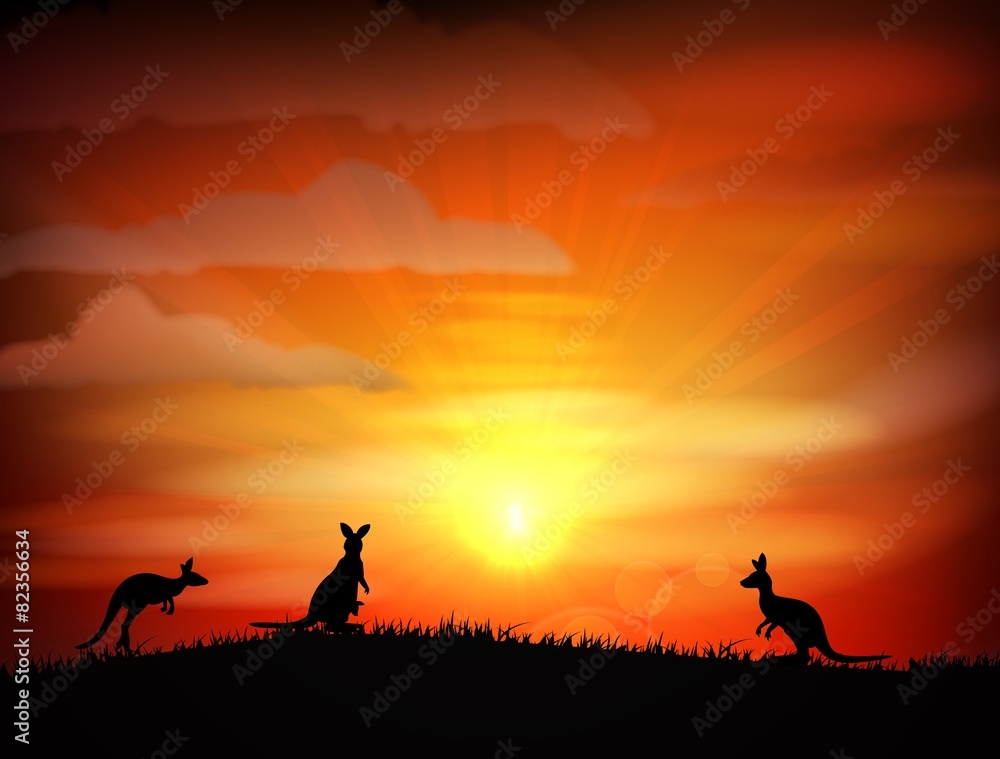 Illustration of Kangaroo on sunset