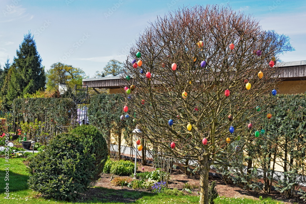 Osterbaum