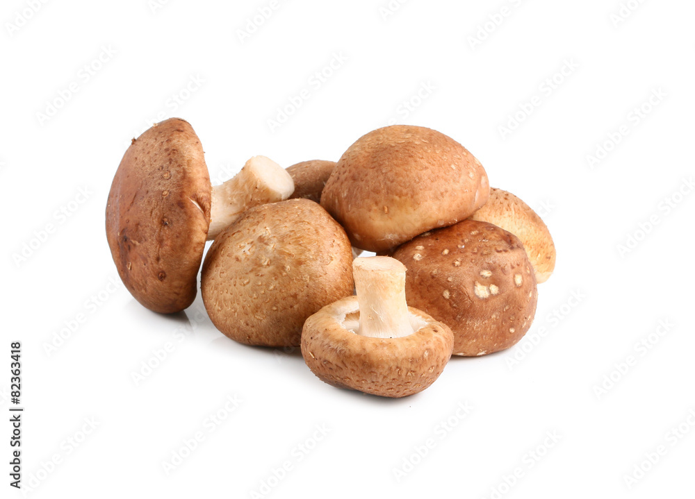 Shiitake mushrooms on white background Shiitake mushrooms on white background