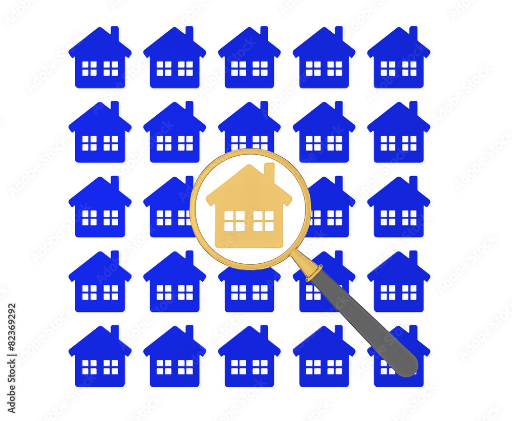 Fototapeta premium House Hunting