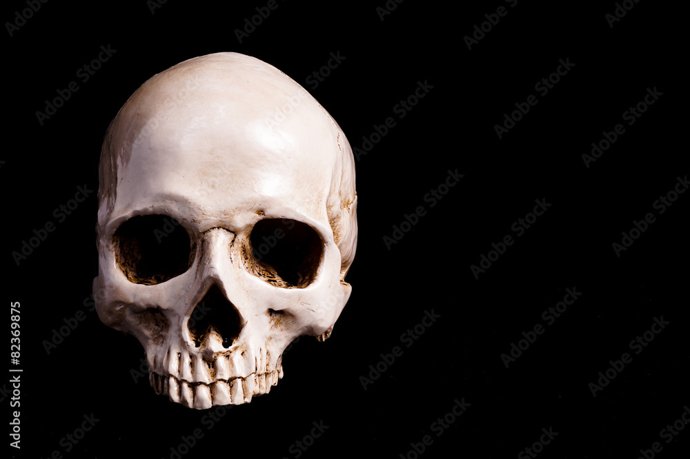 Skull Isolated on black Skull Isolated on black