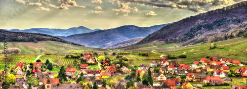 Famous wine route in the Vosges mountains - Alsace, France