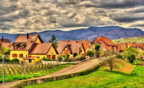 View of Bergheim near the Vosges - Alsace, France