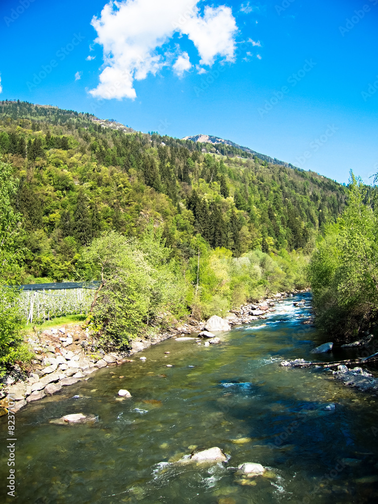 Fluss in Südtirol Stock Foto Adobe Stock
