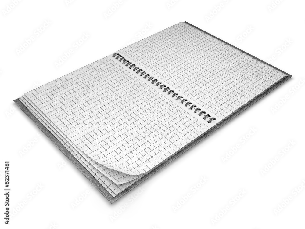 Diary. 3D. Open Book Diary. 3D. Open Book