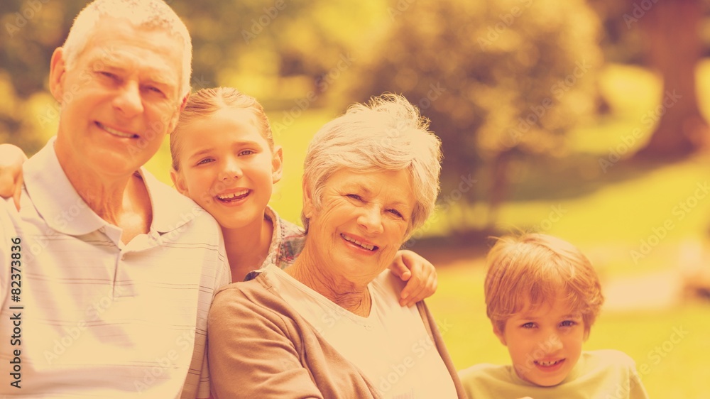 Fototapeta premium Smiling senior couple and grandchildren at park