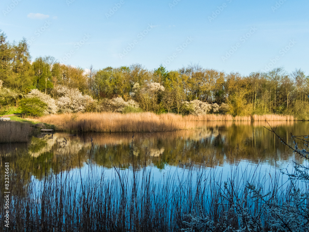 Fototapeta premium Mühlenteich in Rostock