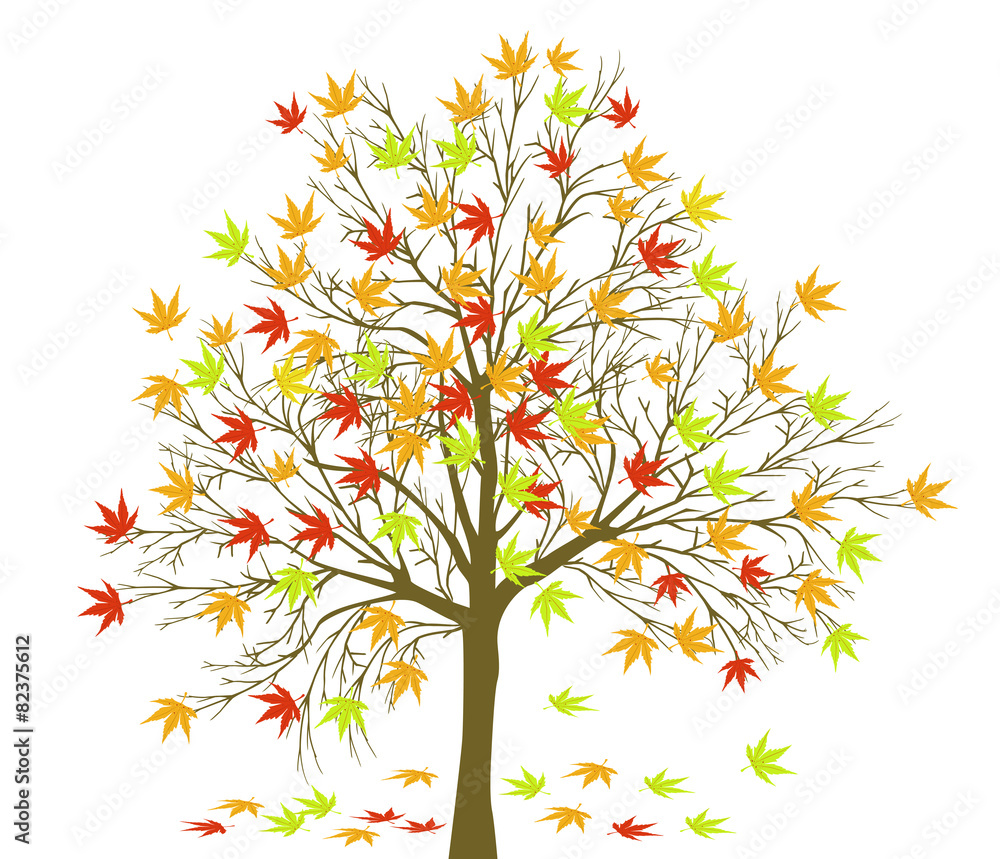 Autumn tree