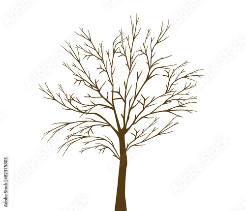 withered tree
