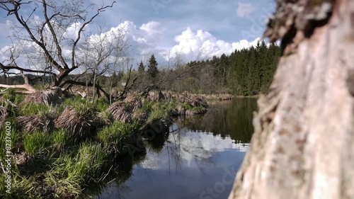 Timelapse River Tree Clouds