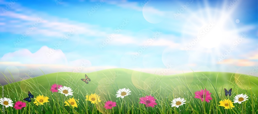 Beautiful spring meadow colorful flowers Beautiful spring meadow colorful flowers