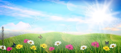 Beautiful spring meadow colorful flowers