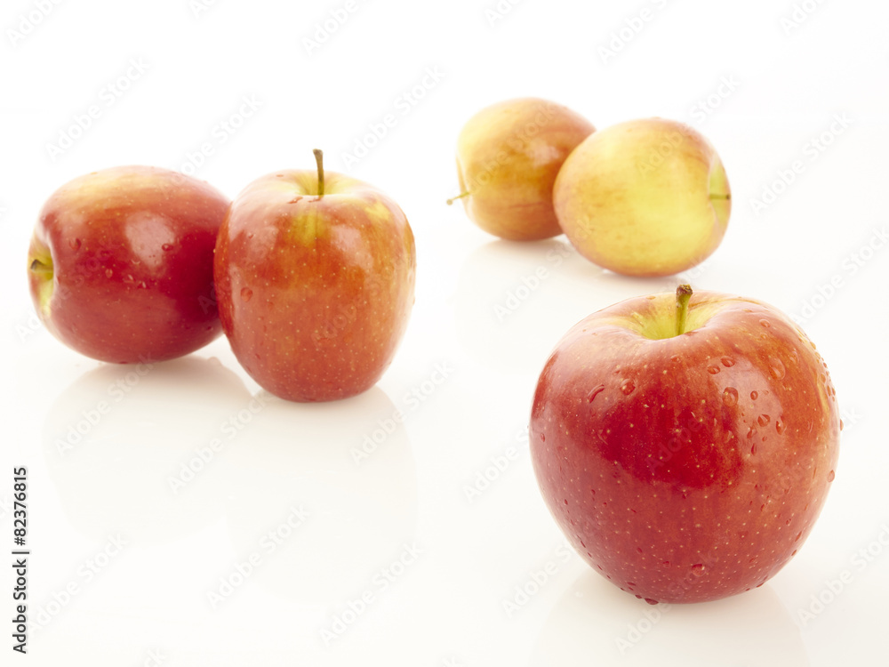 apple apple