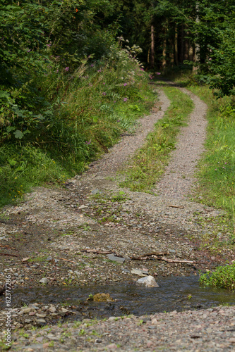 Fernwanderweg Selketal-Stieg