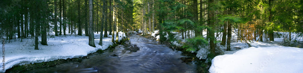 Panoramic view of the mountain river in the middle of the forest