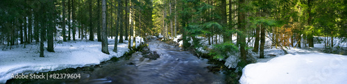 Panoramic view of the mountain river in the middle of the forest #82379604