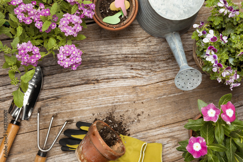 Gardening tools and flower
