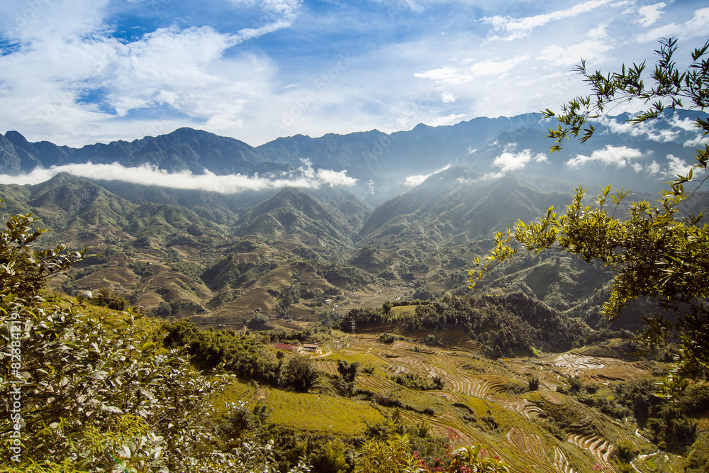 Naklejka premium Living