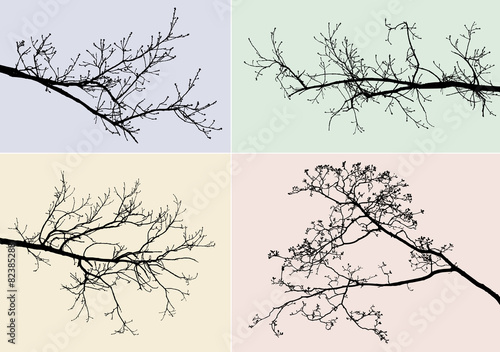 silhouettes of tree branches